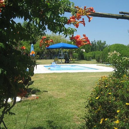 Bed and Breakfast Casa Das Andorinhas Palmela Exteriér fotografie