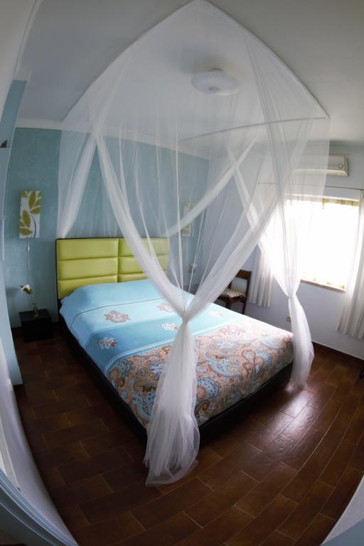 Bed and Breakfast Casa Das Andorinhas Palmela Exteriér fotografie