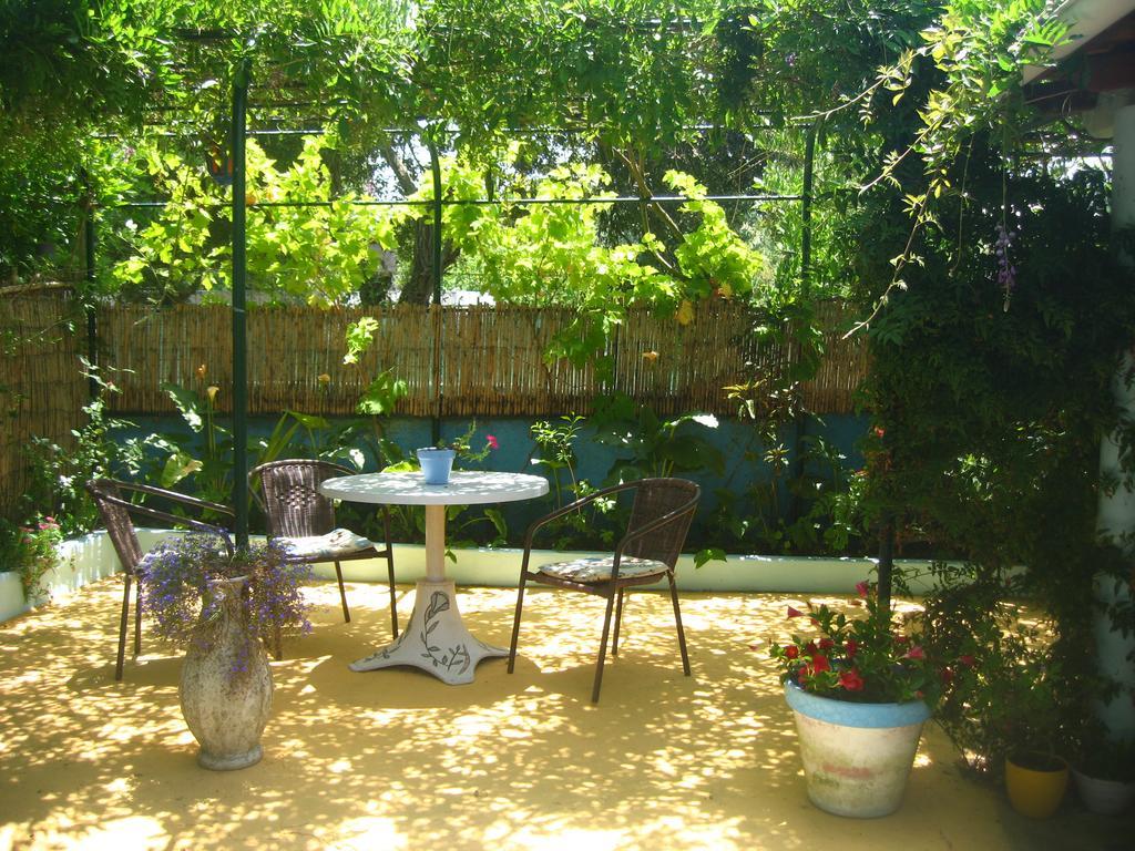 Bed and Breakfast Casa Das Andorinhas Palmela Exteriér fotografie